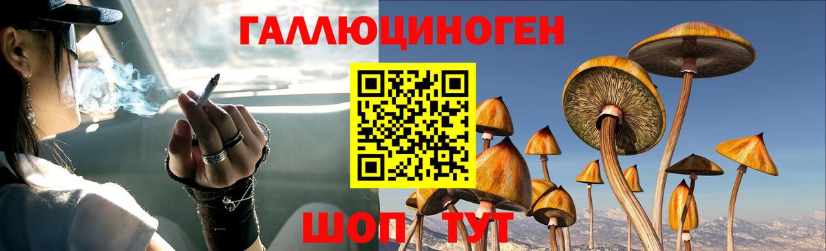 Галлюциногенные грибы мухоморы Сергиев Посад